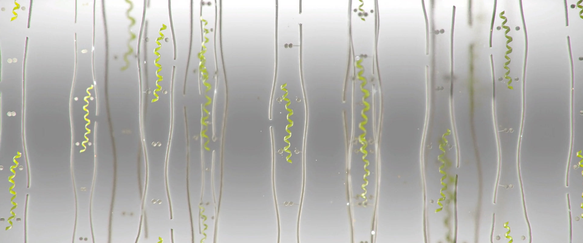 Biomimetics 101