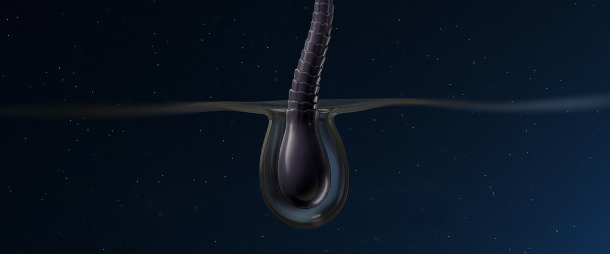 what happens to your hair and scalp while you sleep?