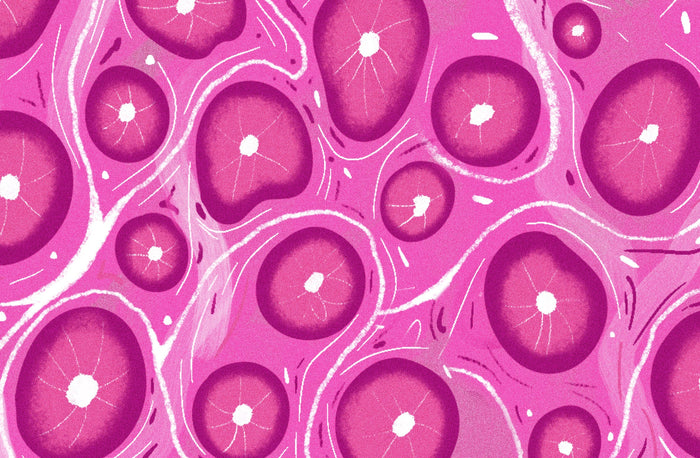 Science Class 16: Lipids + hair health