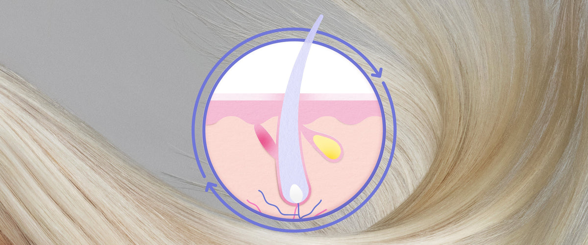 Why Isn’t Your Hair Growing?
