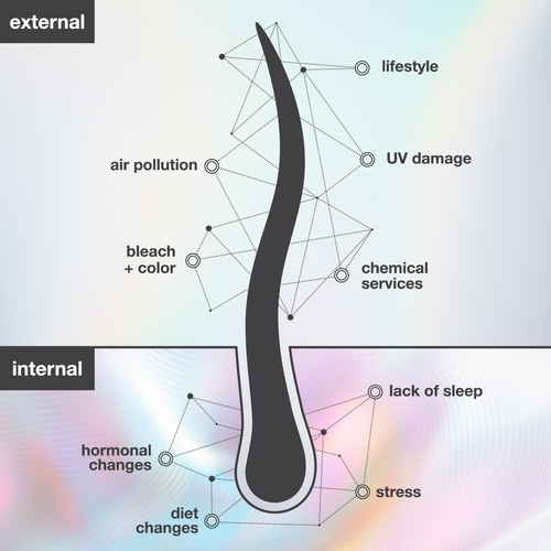 presentation image
