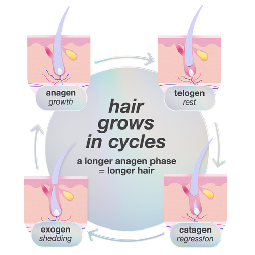 presentation image